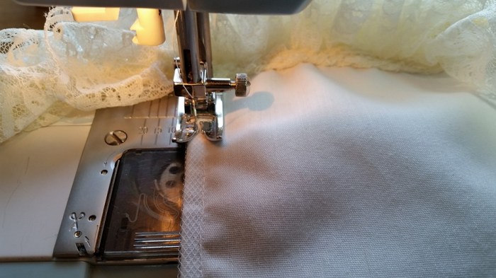 13494853_10210263492410218_1539390647757499453_n