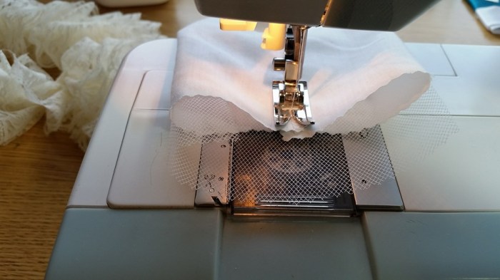 13532869_10210263492170212_4715053864406837346_n