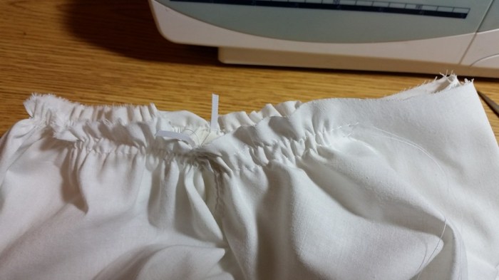 13495239_10210263420568422_1597238234619587648_n