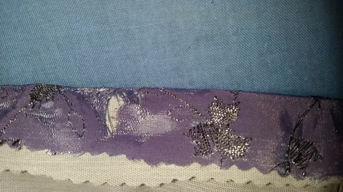 13592361_10210314046834047_8770150904490731116_n