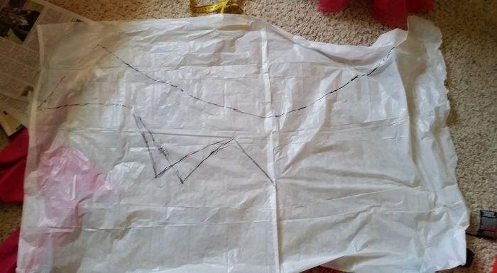 13692723_10210491550231521_1041900030191437657_n