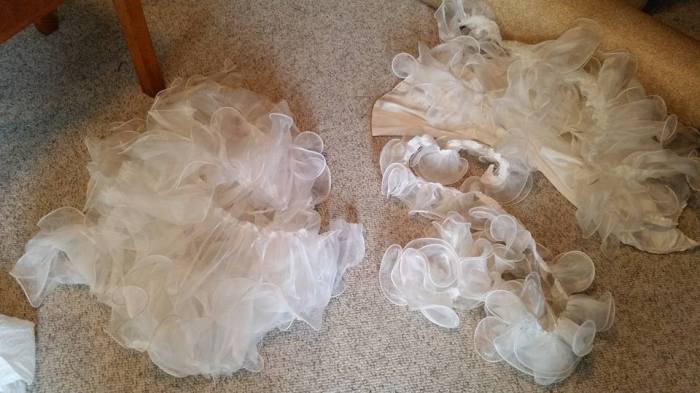 14947791_10211508080644146_7555646103898324869_n