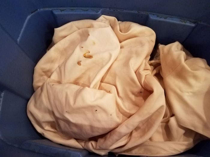 coffee ground stains