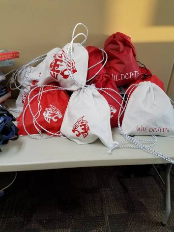 28276332_2122755291071992_3226494622192751674_n